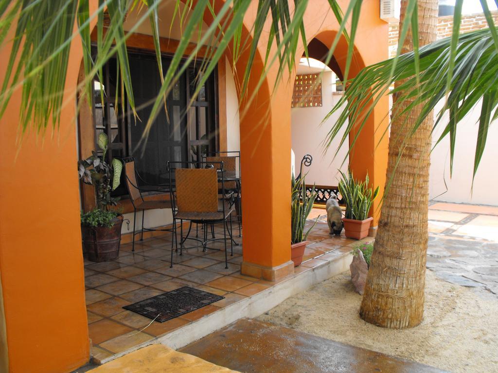 Leo'S Baja Oasis Hotel Ла Пас Стая снимка