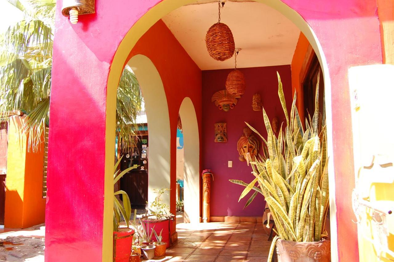 Leo'S Baja Oasis Hotel Ла Пас Екстериор снимка