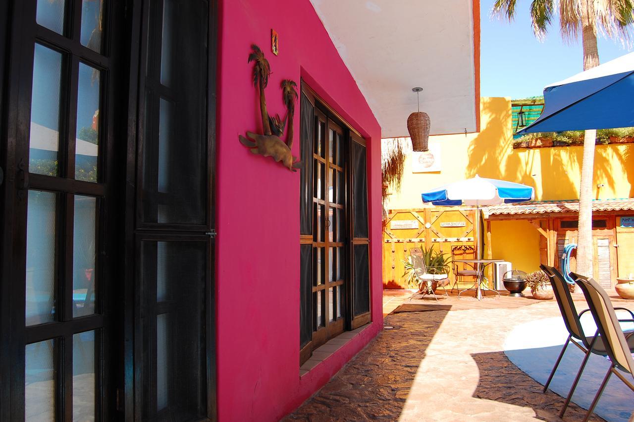 Leo'S Baja Oasis Hotel Ла Пас Екстериор снимка